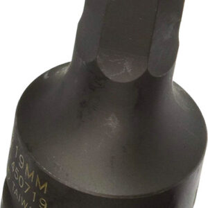 03765c5f b01f 4f34 83f9 bfbd4afc60fa SUN 450719 33852.1759329292.jpg