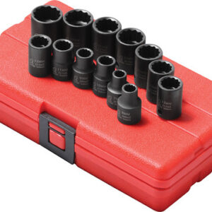 963c5d1d 7b7f 4f4a b4e2 f331e44f55db SUN 3675 14861.1759338215.jpg