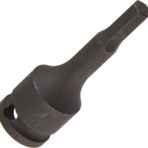 976a2997 beae 45d3 bb75 d64cfd968fdb SUN 36483 86039.1759333792.jpg